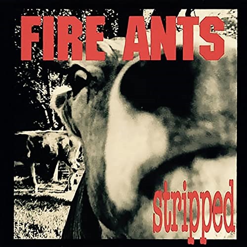 NEW SOUND EXPRESS UK CLASSIC GRUNGE PIONEERS: Get the rock n’ roll 3 decade lowdown on Seattle grunge legends ‘The Fire Ants’ as they get you rocking and ‘Stripped’