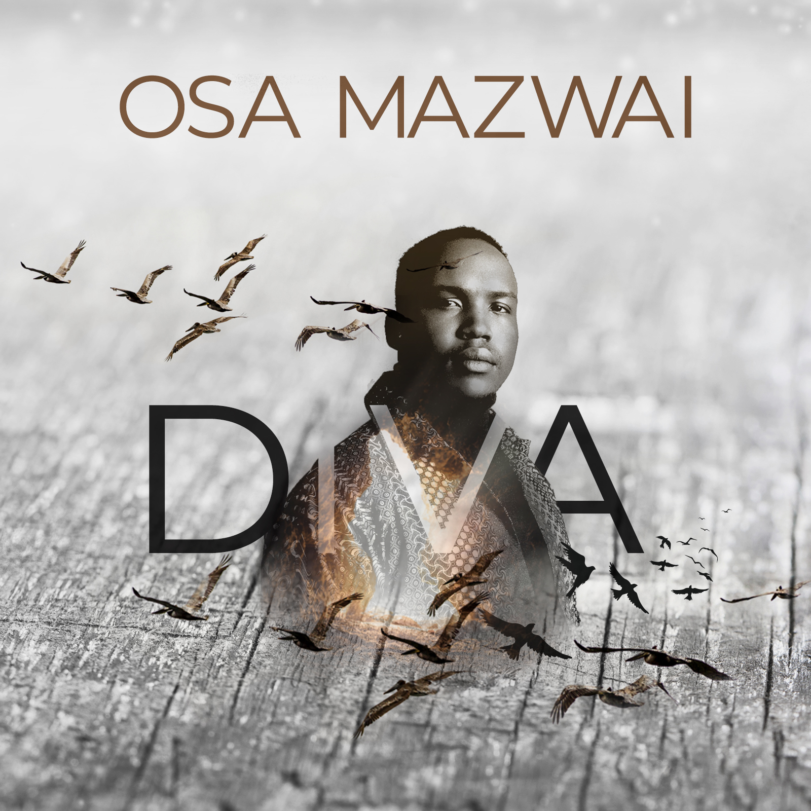 “Fundamentally, this song is about encouraging and enabling the girl-child to achieve their full destiny” says ‘Osa Mazwai’ about new single #DIVA.